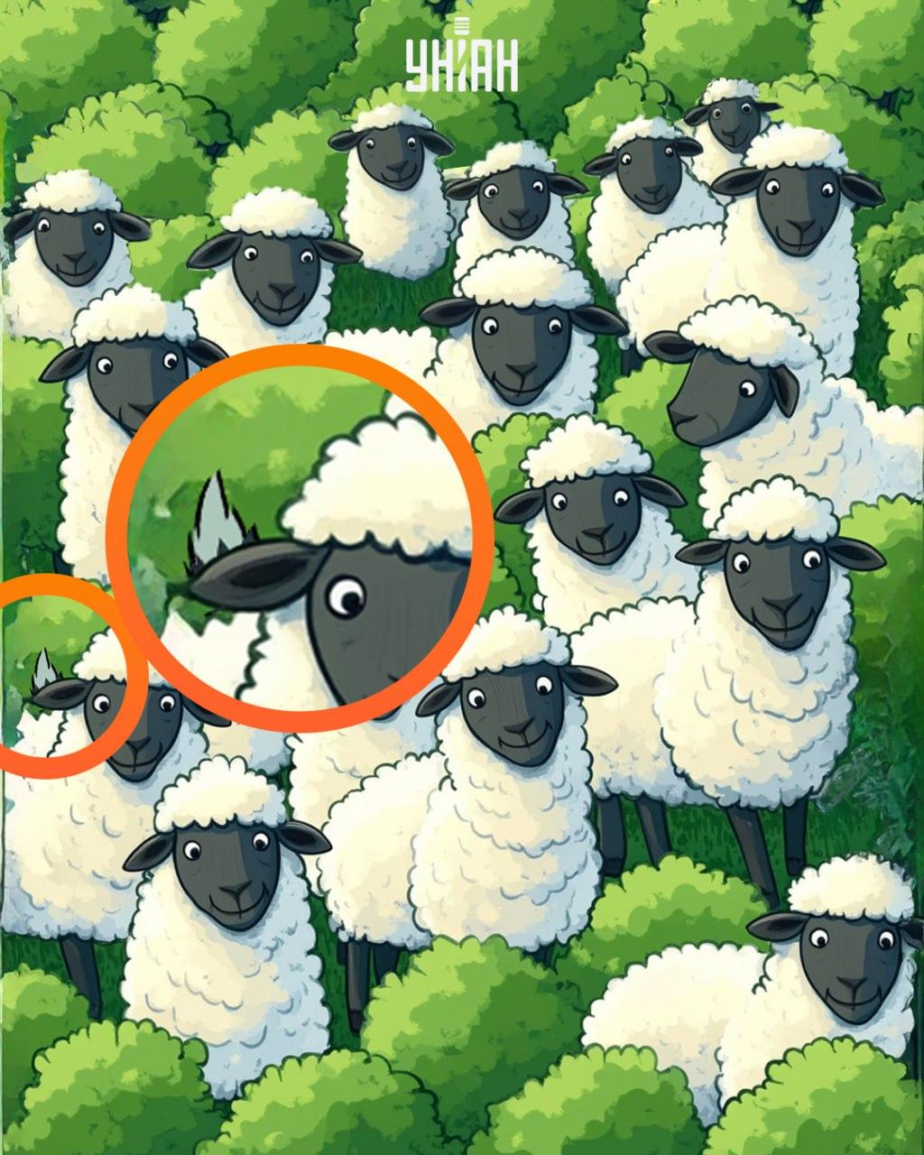 Koláž Moje