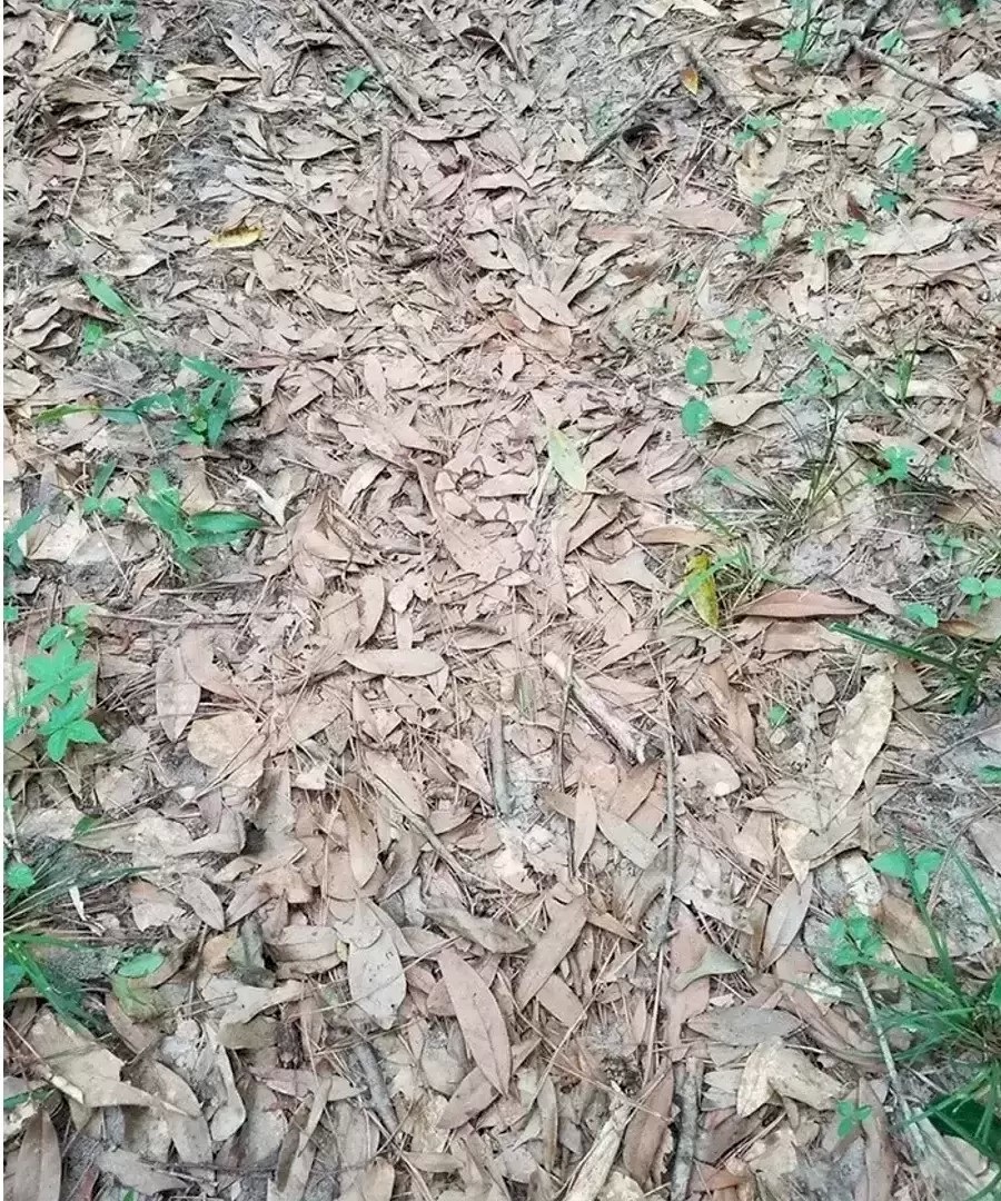 Hádanka