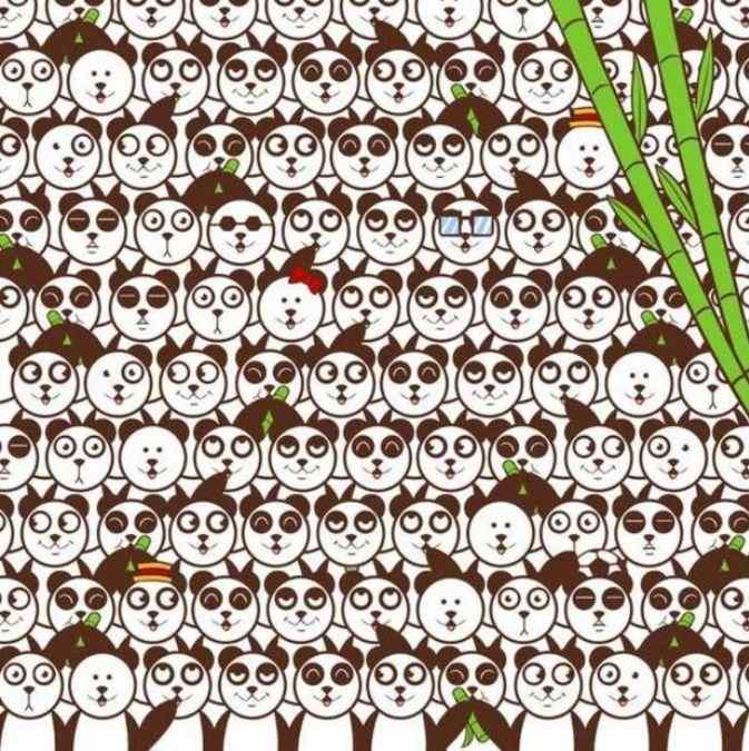 Pouze 2 % lidí dokáží najít míč mezi pandami: jednoduchý test IQ