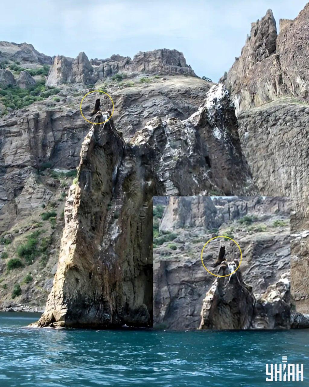 Pták je na jednom z vrcholků útesu / koláž s fotografií Moje