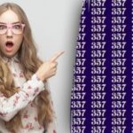 Hádanka pro opravdové detektivy: musíte najít číslo 337 v moři