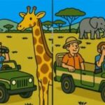 IQ test: najděte 3 rozdíly na obrázcích turistů v džungli