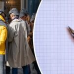 Jednoduchá matematická otázka potrápila dospělé: ne každý ji vyřeší