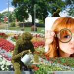 Jen géniové to zvládnou za 10 sekund: fascinující logická hra