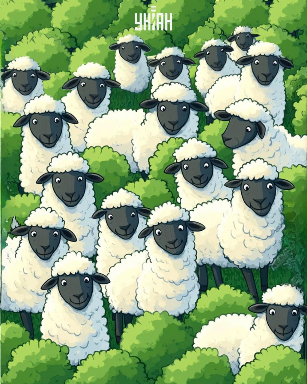 Koláž Moje