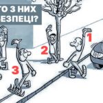 Který z nich je bezpečný: hádanka, kterou vyřešíte za 17
