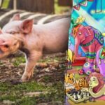 Pouze 2 procenta lidí najdou selátko v cirkuse za 15