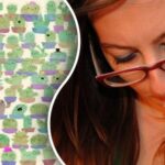 Tuto hádanku může vyřešit jen génius: musíte najít jablko mezi