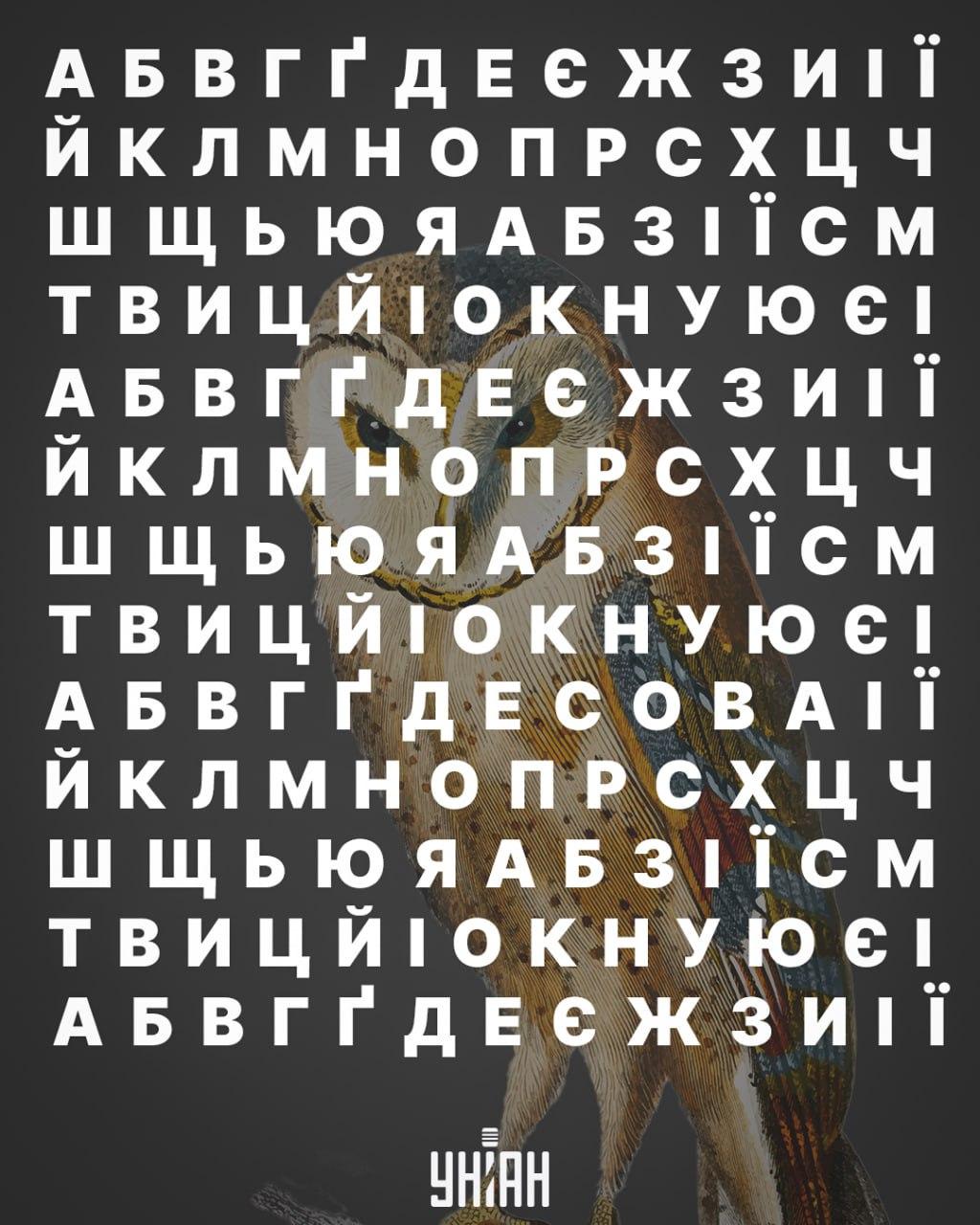 Moje