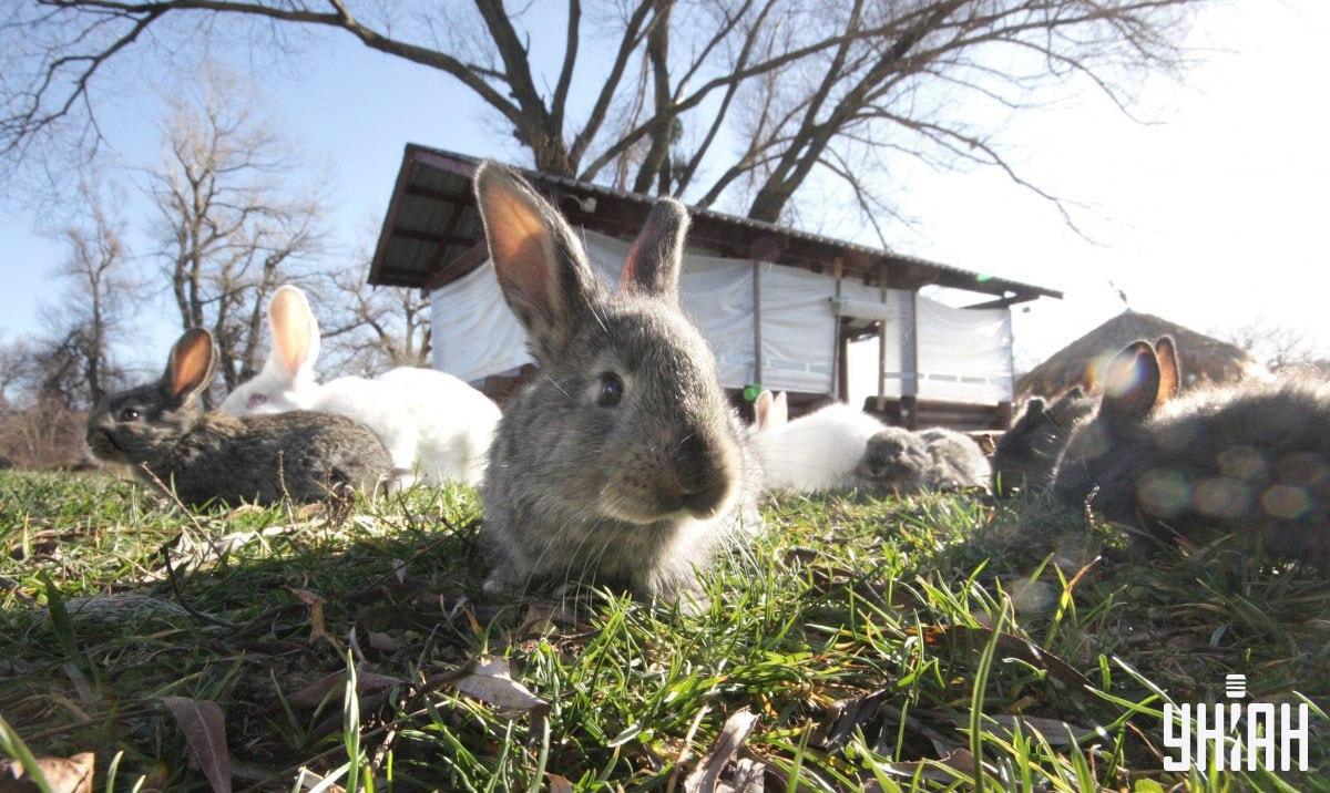 Vrabce je třeba najít včas / koláž s fotografií Mojeu