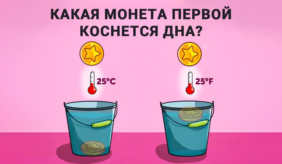 Odpověď na IQ-test / koláž Moje