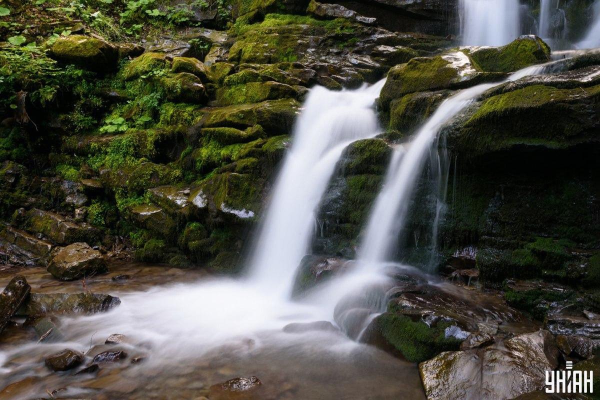 Hádanka s liškou - najděte zvíře za 7 sekund / koláž Moje, foto Moje