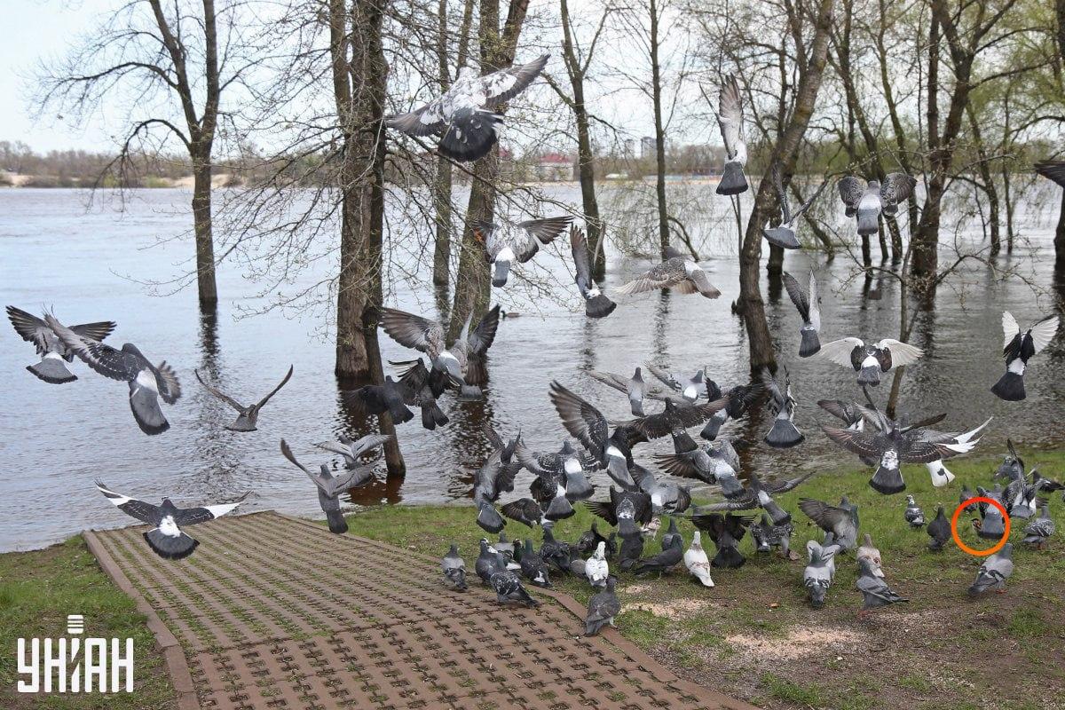 Fotografie Moje