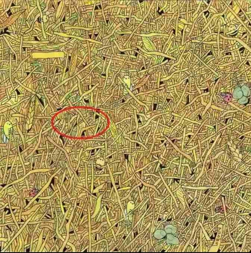 Hledání jehly v seně - řešení hádanky