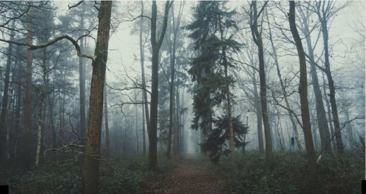 Enigma