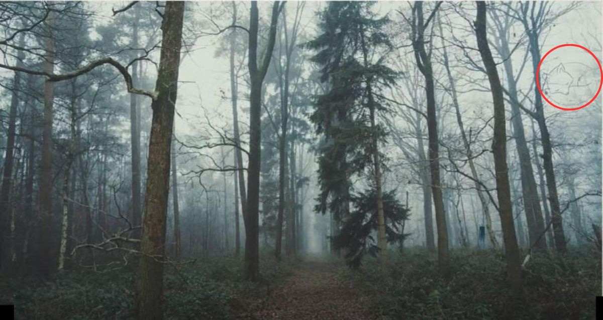 Hádanka