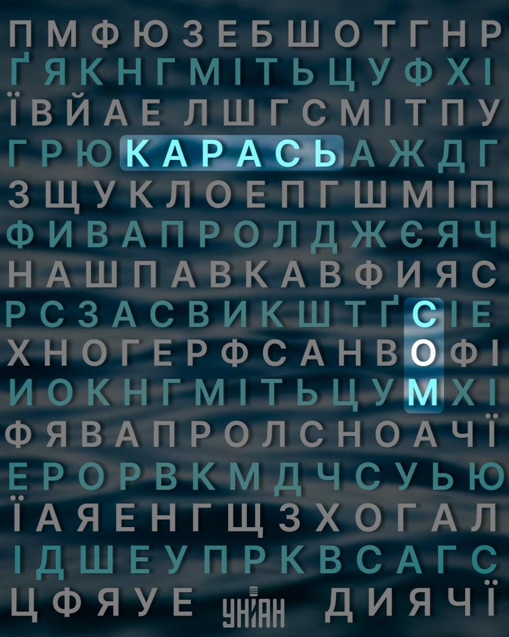 Koláž Moje