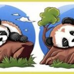 Jaký je rozdíl mezi dvěma pandami: jen génius by to