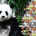 Rychlý IQ test: pouze 1 % lidí dokáže najít pandu